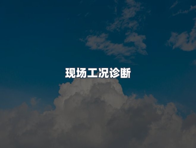 服务优势